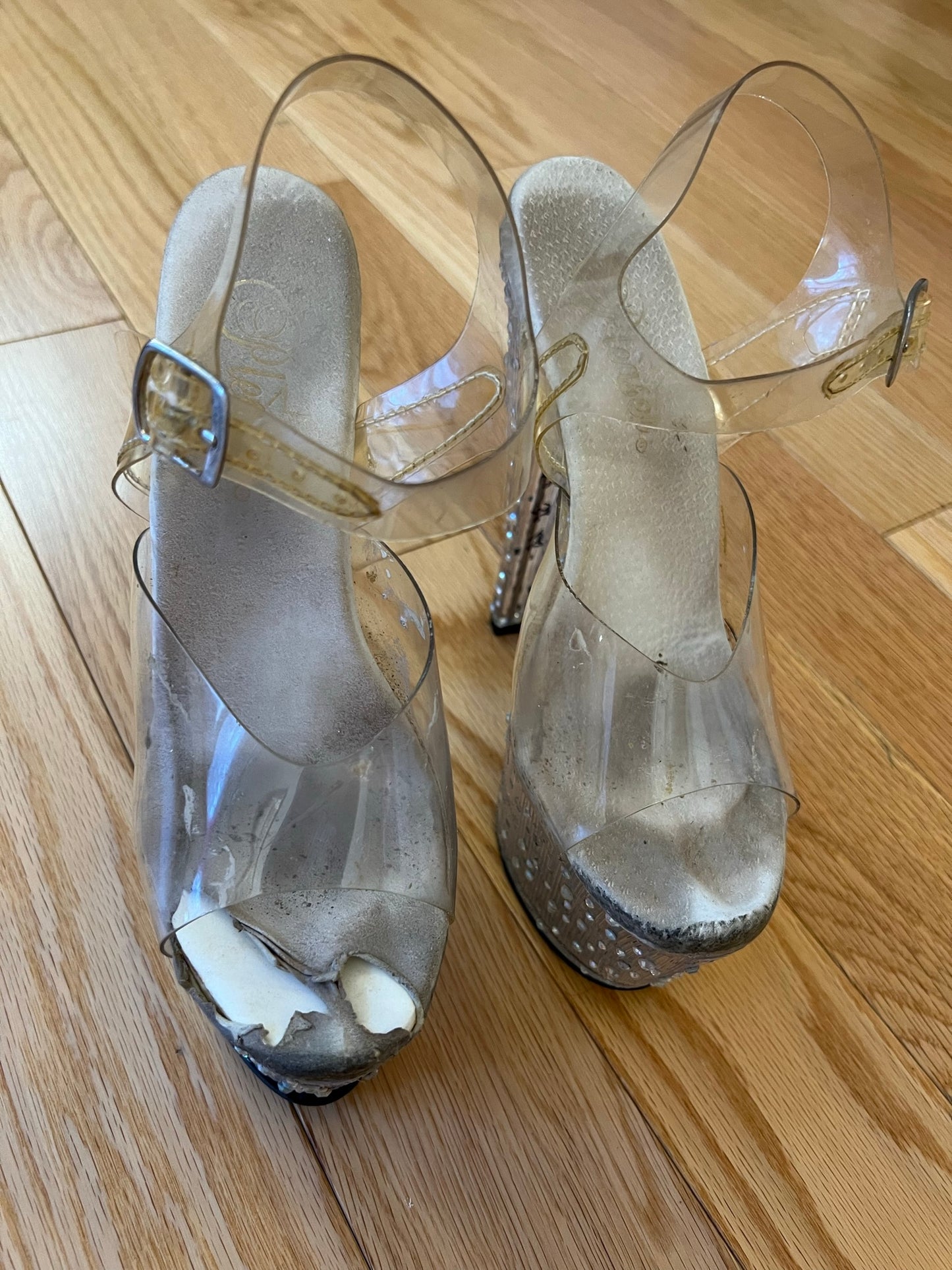 Mistress Heels Shoe Worship Collection